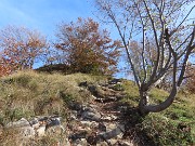 MONTE PODONA  da Salmezza il 13 novembre 2023- FOTOGALLERY